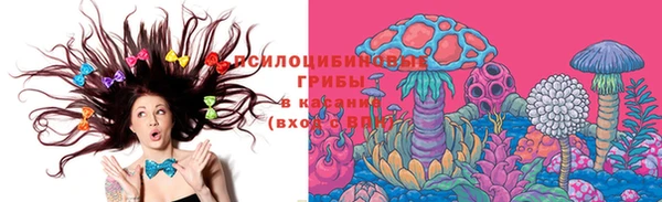спайс Беломорск