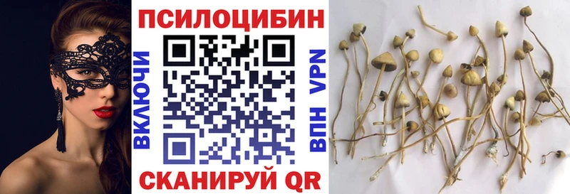 OMG ссылки  Избербаш  Галлюциногенные грибы мицелий 