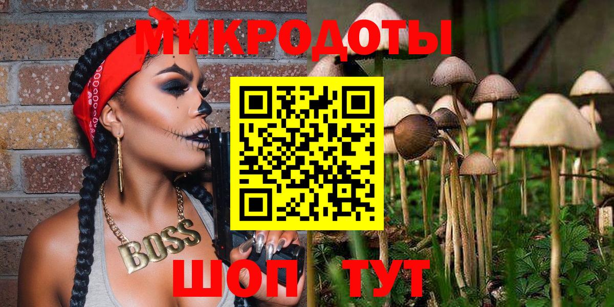 Псилоцибиновые грибы Psilocybe Избербаш