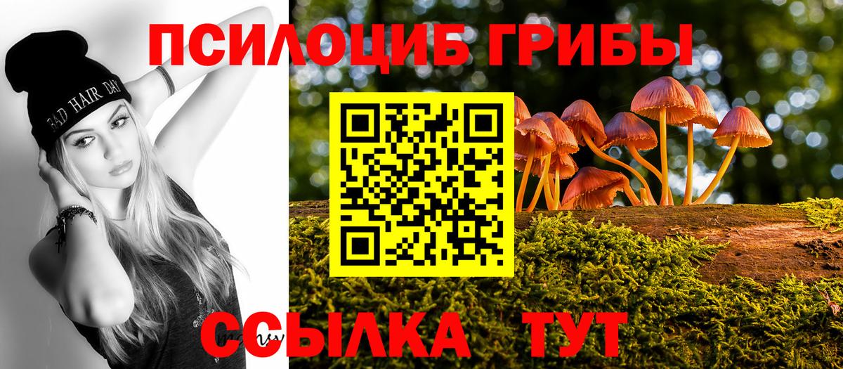 Галлюциногенные грибы мицелий Избербаш