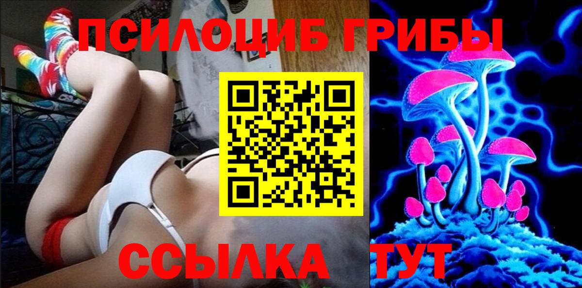 Псилоцибиновые грибы Magic Shrooms  Избербаш 