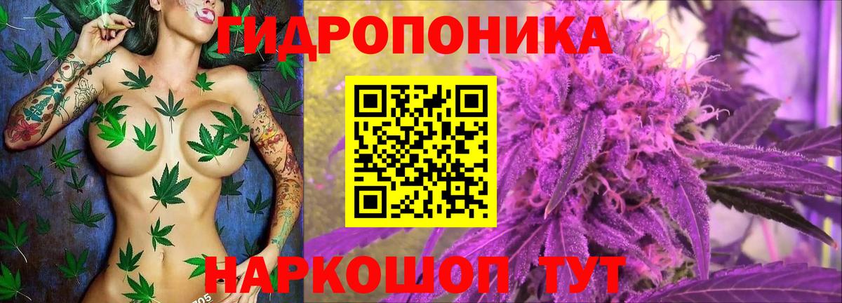 МАРИХУАНА план  Вход с VPN  Избербаш  МАРИХУАНА индика  Канабис семена  Конопля Bruce Banner 
